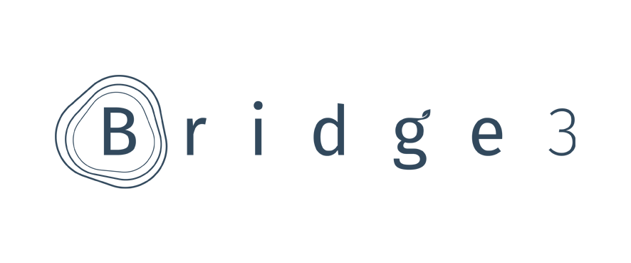 Logo Bridge3